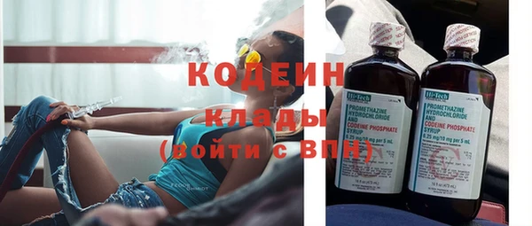 PSILOCYBIN Бородино