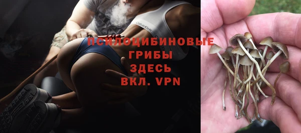 spice Бронницы