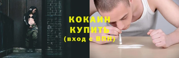 PSILOCYBIN Бородино