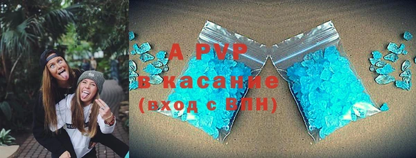 PSILOCYBIN Бородино