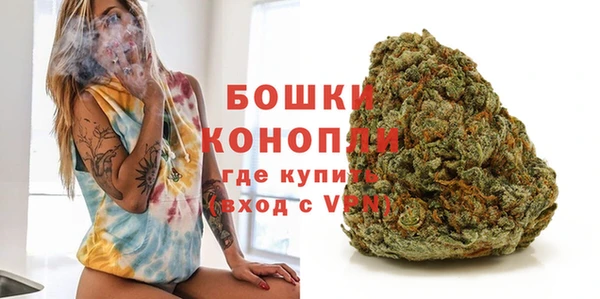 PSILOCYBIN Бородино