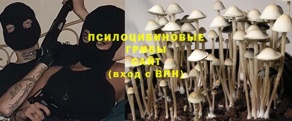 spice Бронницы