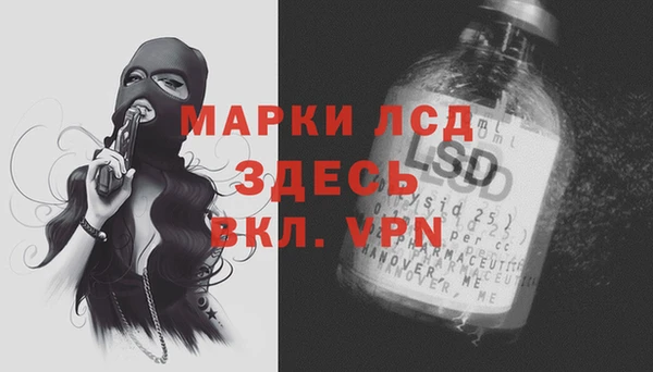 PSILOCYBIN Бородино