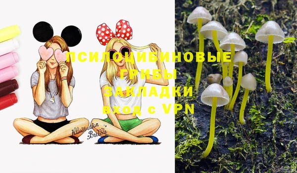 гидра Бугульма